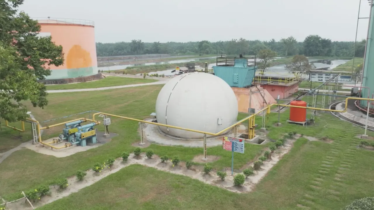 PTPN IV PalmCo mempercepat sertifikasi standar global di seluruh regional sebagai bagian dari penguatan tata kelola, keselamatan kerja, perlindungan lingkungan, dan praktik perkebunan berkelanjutan.